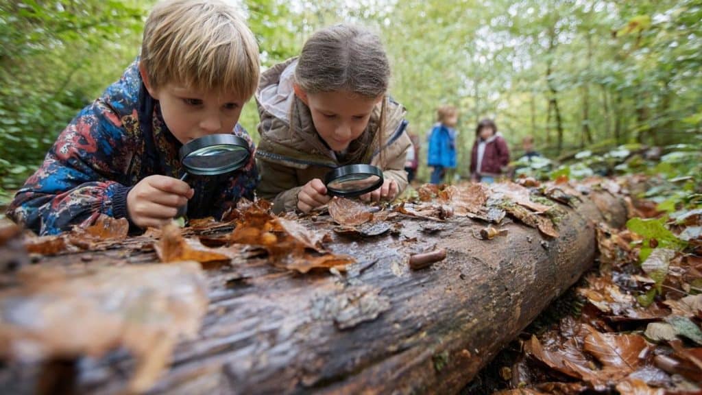 Cosa fare sul Lago Laceno con i bambini 1 Lago Laceno con i bambini