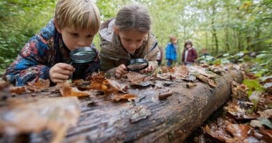 Cosa fare sul Lago Laceno con i bambini